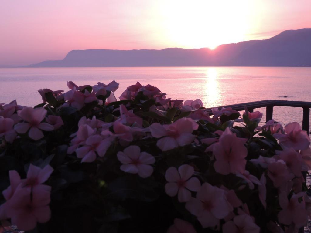 B&B La Veduta Scilla Exteriör bild